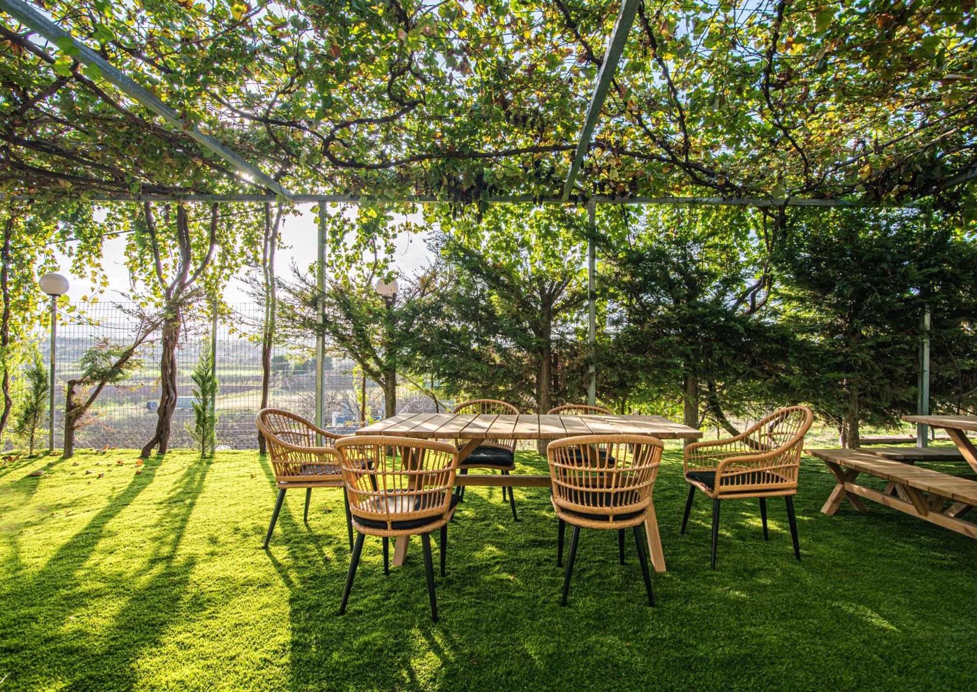 Masticha Apartment Oinofyta Εξωτερικό φωτογραφία