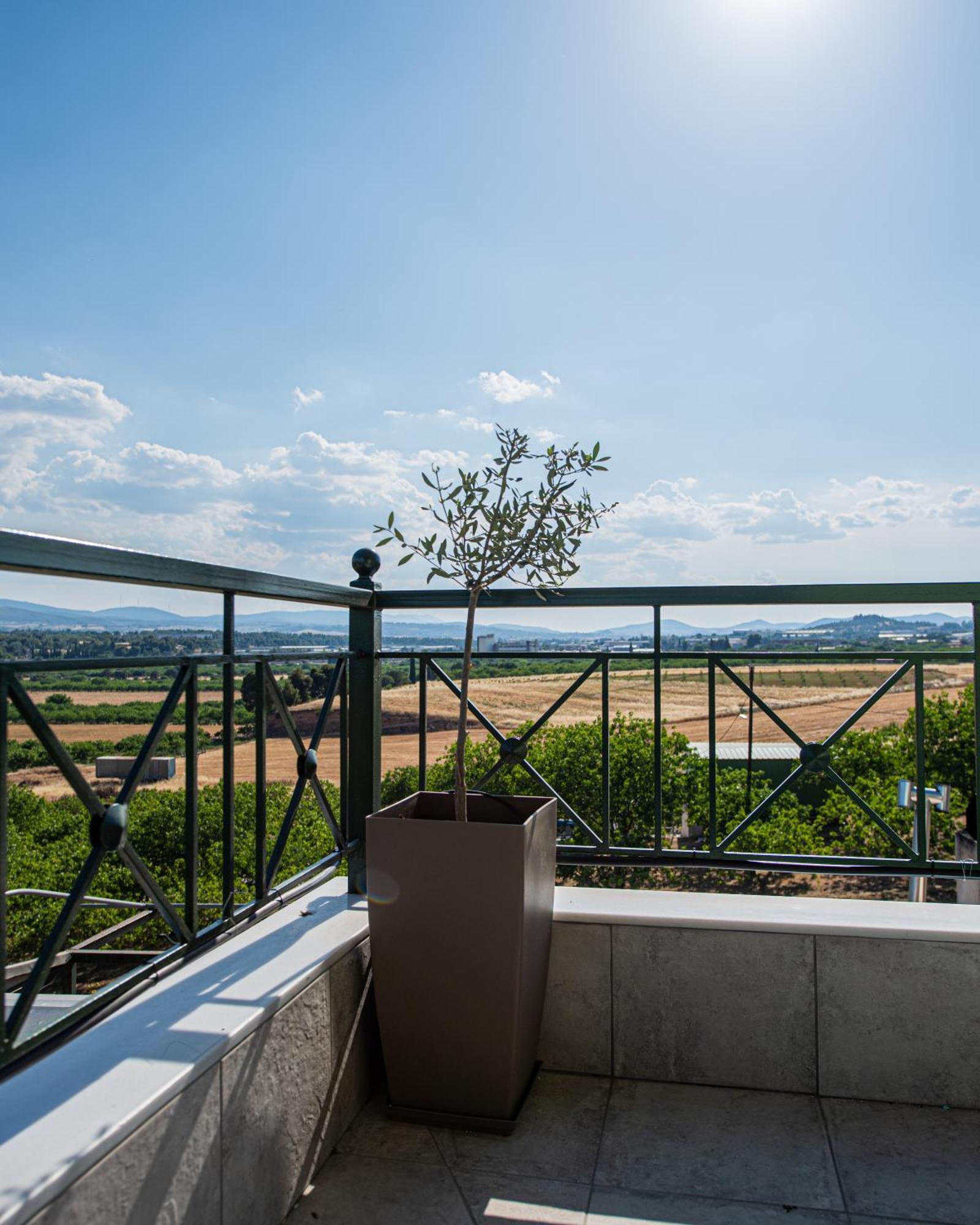 Masticha Apartment Oinofyta Εξωτερικό φωτογραφία